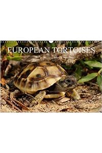 European Tortoises / UK-Version 2017