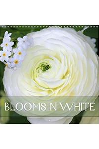 Blooms in White 2018