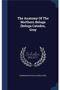 The Anatomy Of The Northern Beluga (beluga Catodon, Gray