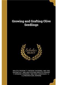 GROWING AND GRAFTING OLIVE SEEDLINGS