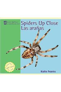 Spiders Up Close / Las Aranas