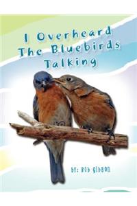I Overheard the Bluebirds Talking