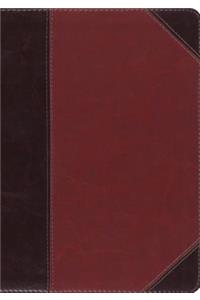 ESV MacArthur Study Bible, Large Print