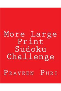 More Large Print Sudoku Challenge