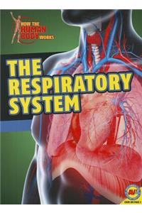 The Respiratory System