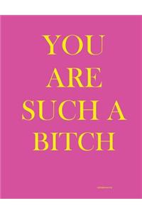 You Are Such A Bitch (Address Book)