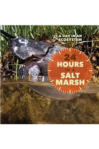 24 Hours in a Salt Marsh