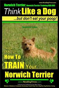 Norwich Terrier, Norwich Terrier Training AAA AKC Think Like a Dog But Don't Eat Your Poop!