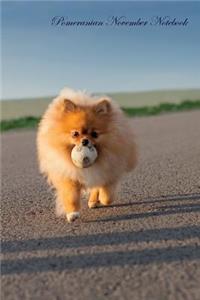 Pomeranian November Notebook Pomeranian Record, Log, Diary, Special Memories, To Do List, Academic Notepad, Scrapbook & More