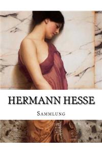 Hermann Hesse, Sammlung