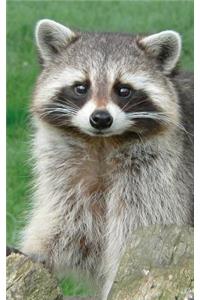 Cute Racoon Journal