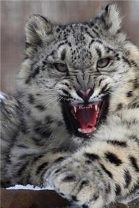 Roaring Snow Leopard Journal