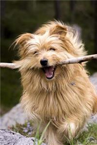 Happy Dog with a Stick Pet Journal