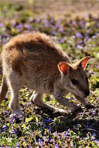 Well Hello There Little Kangaroo Journal