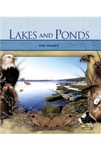 Lakes and Ponds