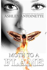 Moth To A Flame