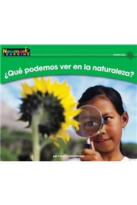 +qut Podemos Ver En La Naturaleza? Leveled Text