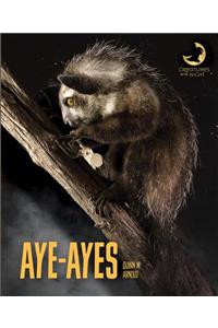 Aye-Ayes