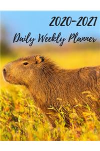 2 Year Planner 2020-2021 Daily Weekly Monthly