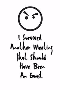I Survived Another Meeting That Should Have Been An Email.