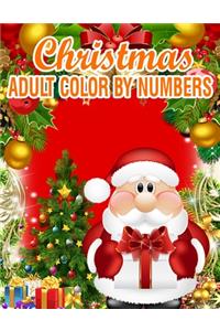 Christmas Adult Color By Numbers