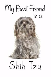 My best Friend is a Shih Tzu