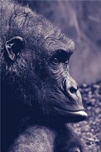 Gorilla Notebook