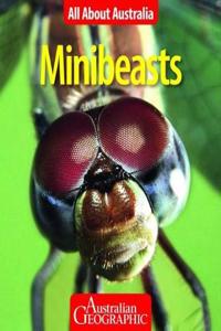 All About Australia: Minibeasts