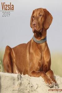 Vizsla Calendar 2019