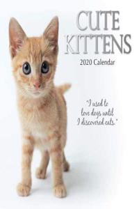 Cute Kittens