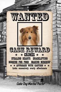 Collie Dog Wanted Poster