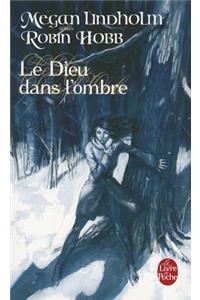 Le Dieu Dans L Ombre