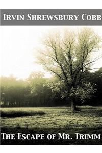 The Escape of Mr. Trimm His Plight and Other Plights