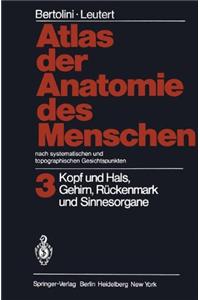 Atlas Der Anatomie Des Menschen. Nach Systematischen Und Topographischen Gesichtspunkten