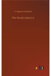 Novel; what it is
