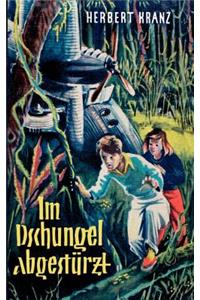 Im Dschungel abgestürzt