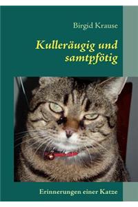 Kulleräugig und samtpfötig
