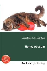 Honey Possum