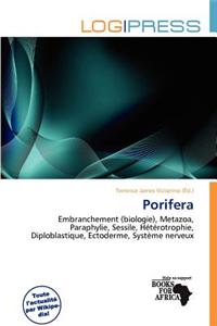 Porifera