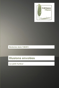 Illusions envolées