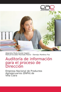 Auditoría de información para el proceso de Dirección