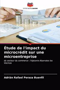 Étude de l'impact du microcrédit sur une microentreprise