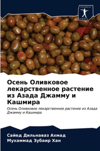 Осень Оливковое лекарственное растение и