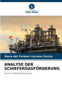 Analyse Der Schiefergasförderung