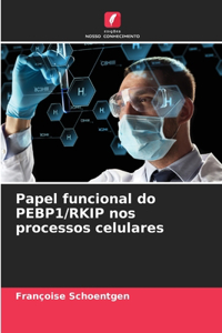 Papel funcional do PEBP1/RKIP nos processos celulares