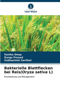Bakterielle Blattflecken bei Reis(Oryza sativa L)
