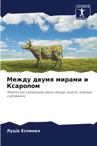 Между двумя мирами и Ксаропом