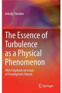 Essence of Turbulence as a Physical Phenomenon