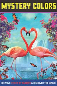Mystery colors creative color by number & discover the magic