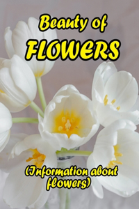 Beauty of Flowers